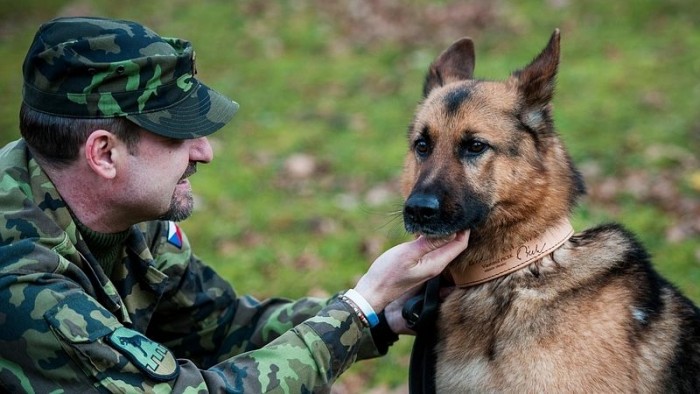 Vojenský pes Athos
dostal vyznamenání