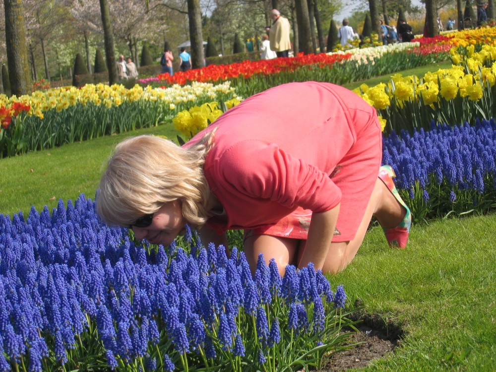 Jarní fotopříběh: Květinový
ráj v Holandsku