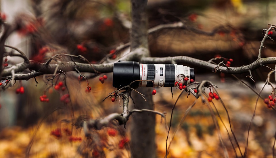Fotosoutěž o flashdisky:                  
Obrázky podzimu a zimy