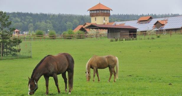Farma Bolka Polívky
je znovu zavřená