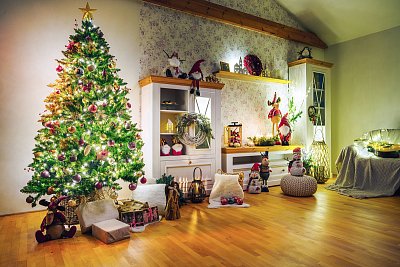 Jaký je nejoblíbenější vánoční strom českých domácností?