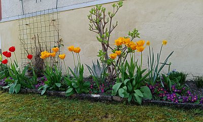 Jaro na zahradě