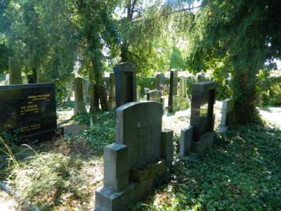 židovský hřbitov Nové Strašecí rod Stein