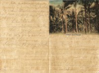 dopis ženě a dcerce na papyrusu po návratu do vlasti