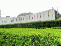 Vlajky před OSN