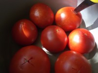 Dozrálá rajčata