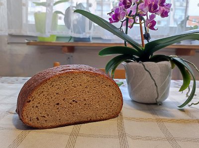 Domácí pšenično-žitný chleba