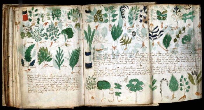 Nerozluštěná tajemství Voynichova rukopisu