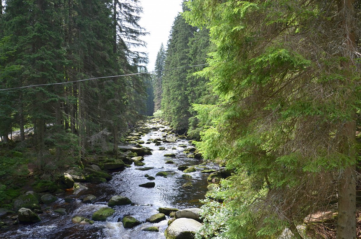 Obrázky z cest - Šumava