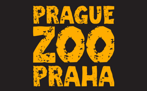 Trasa Zakázanka v ZOO
Praha se otevře veřejnosti