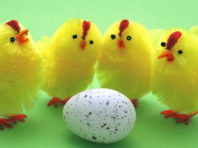 Soutěžní příspěvek:
plněná velikonoční vejce