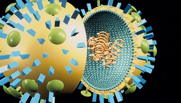 Vědci objevili rychlý způsob,
jak diagnostikovat chřipku