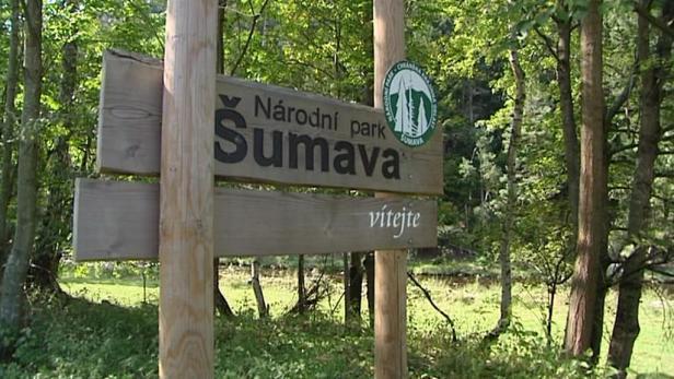 Turisté mohou poprvé vyrazit
na Šumavě k Modrému Sloupu