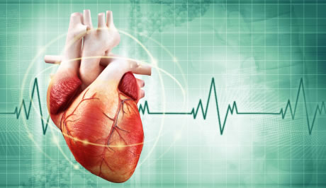 Riziko náhlé srdeční
smrti snižuje pohyb