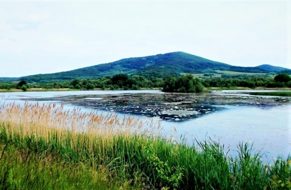 Tip na výlet: Přírodní památka Zlaté jezero