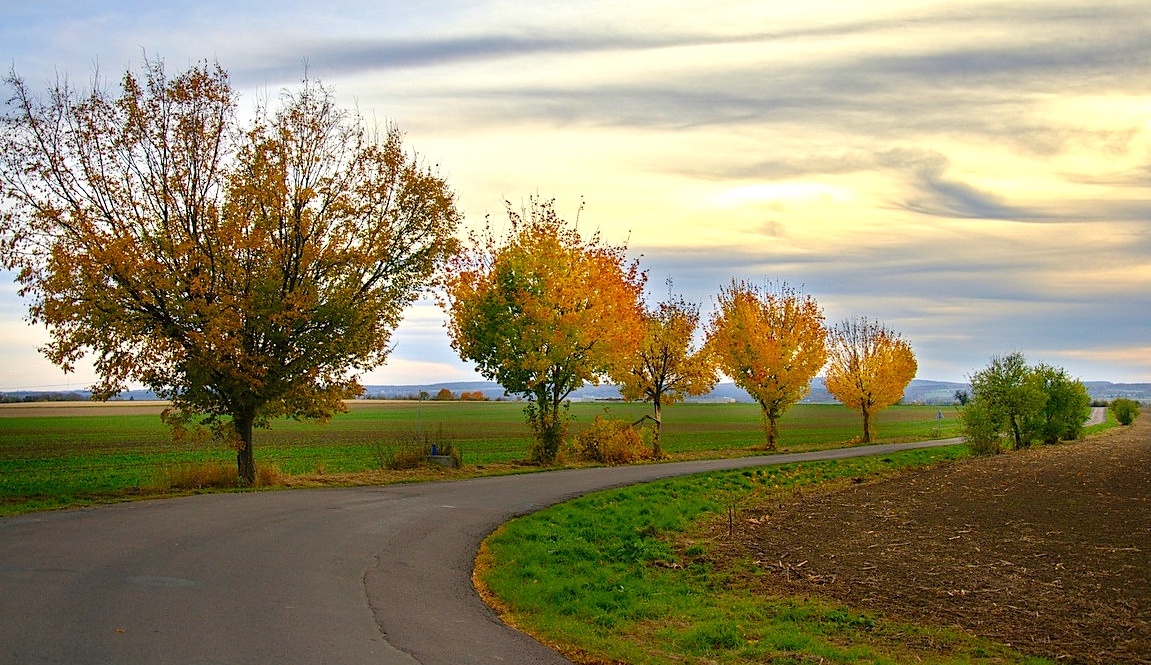 FOTO DNE 1.11.: Libuše Hvězdová - Za zatáčkou