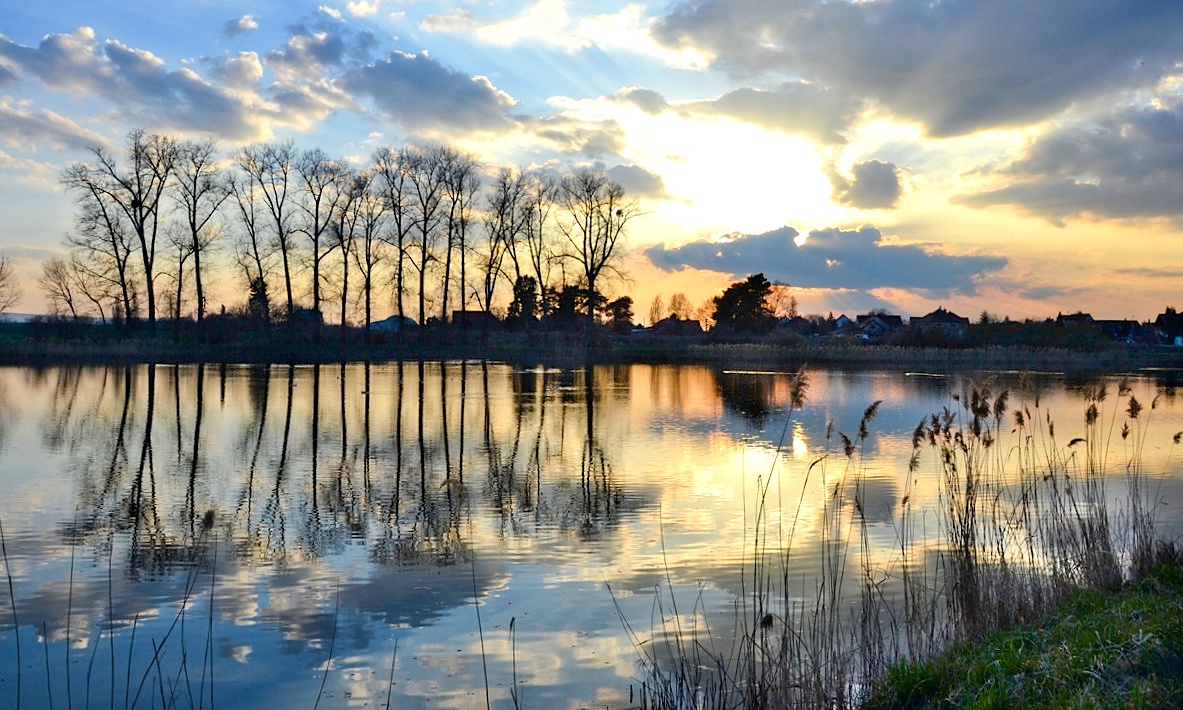 FOTO DNE 11.3.: Libuše Hvězdová - Stmívání