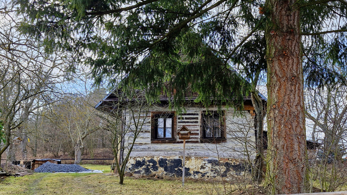 FOTO DNE 24.2.: Libuše Hvězdová - Na Práčově