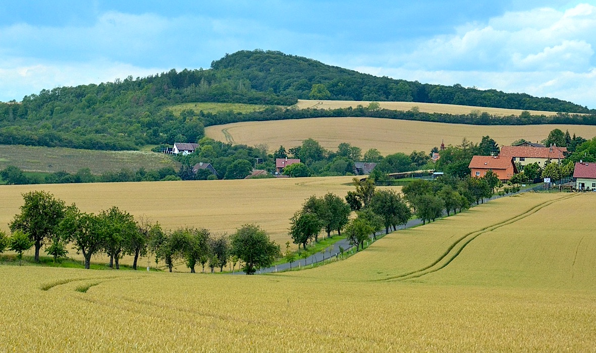 FOTO DNE 5.7.: Libuše Hvězdová - U Encovan