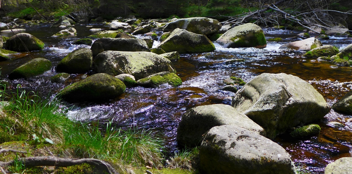 Povydří