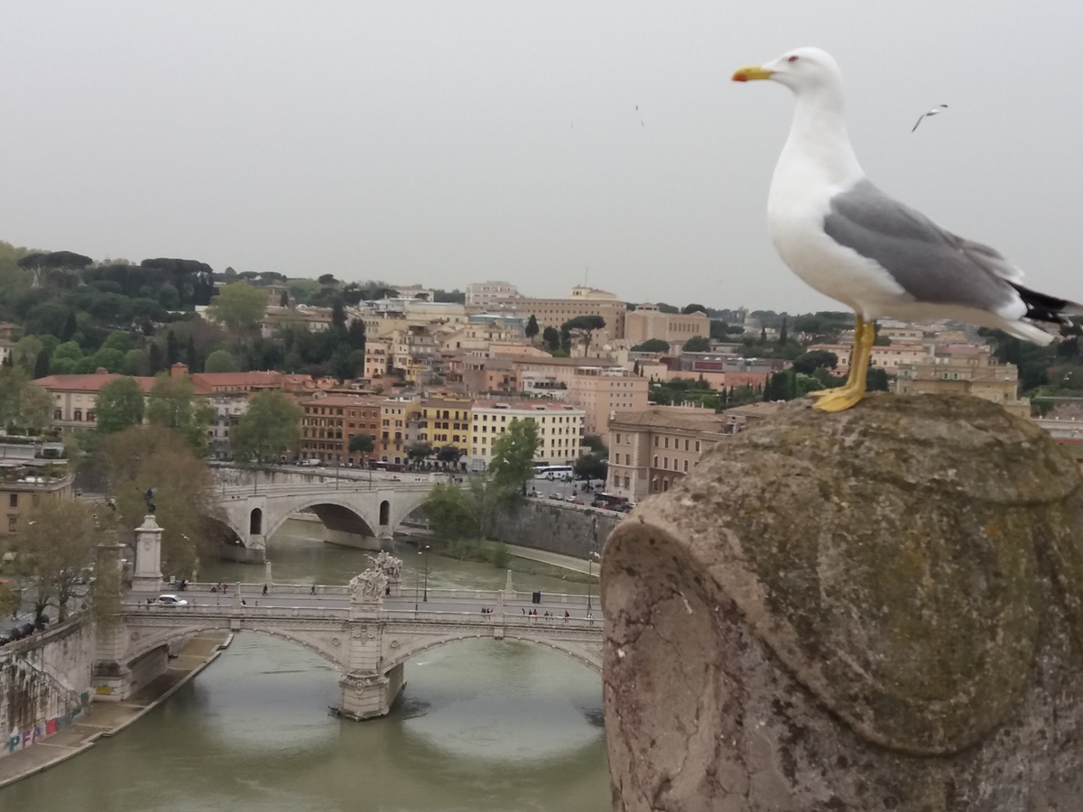Zážitky, památky i tajná přání, vše v jednom dni v Římě