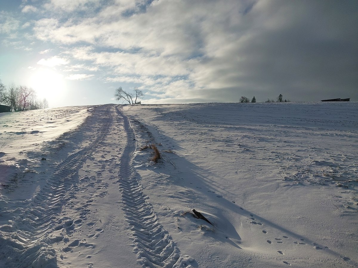 Tak jak každý rok *