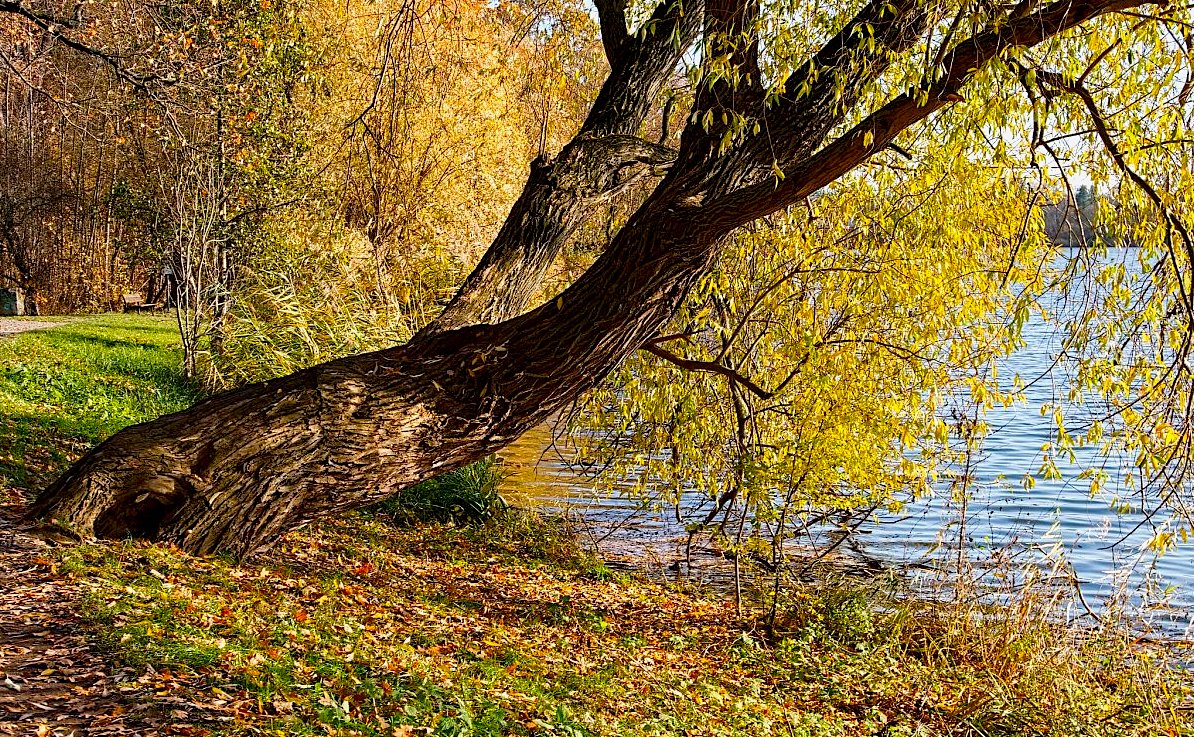 FOTO DNE 18.11.: Martina Růžičková - Nad hladinou