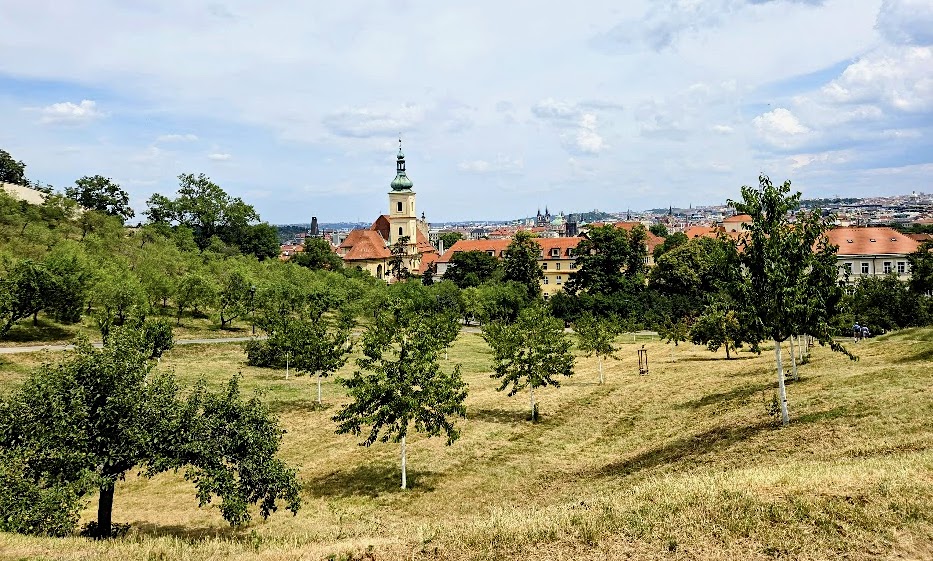 FOTO DNE 17.7.: Daniela Řeřichová - Tady jsem doma