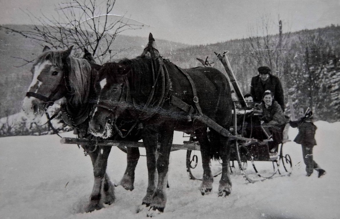 Nejlepší období mého života - Šumava