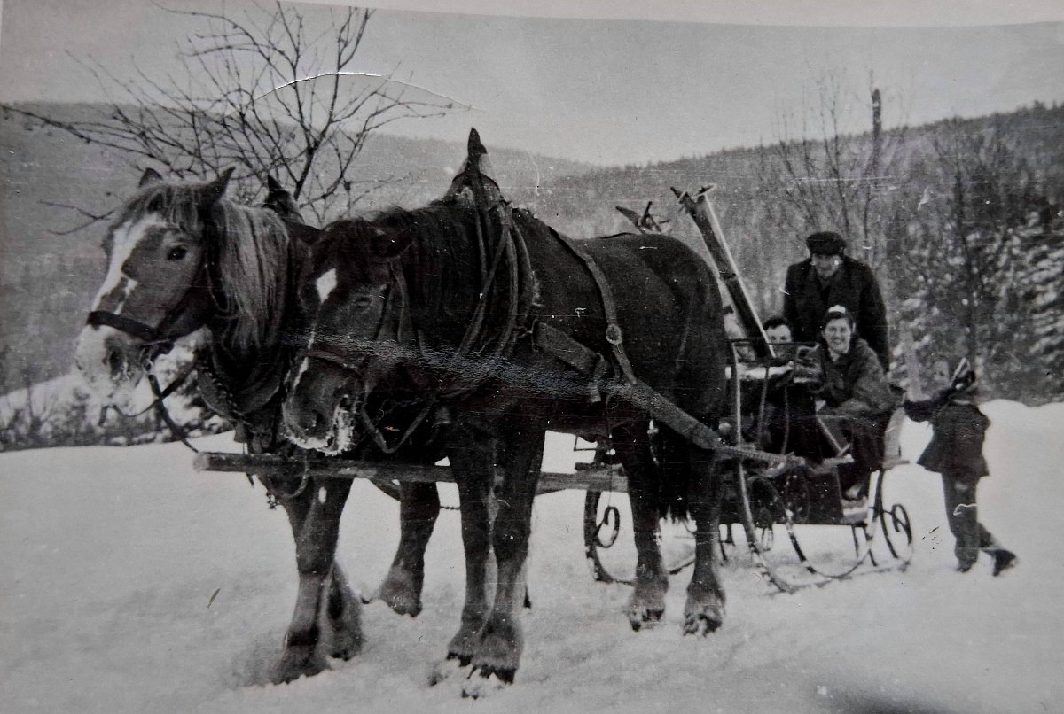 Nejlepší období mého života - Šumava