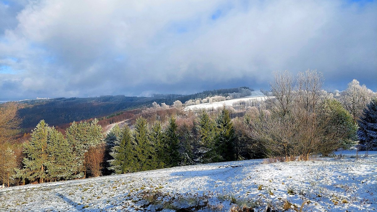 Poslední listopadová *