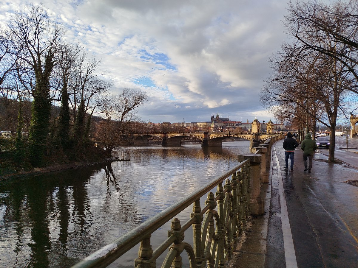 Čerstvě opláchnutá deštěm *