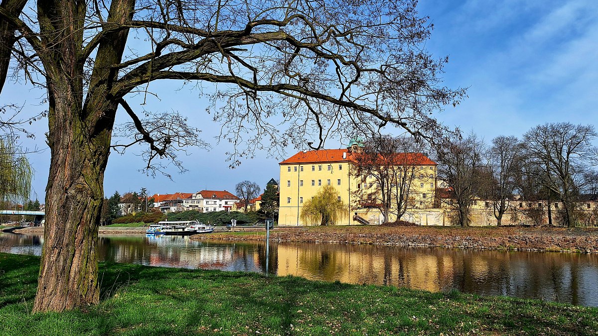 Slunečné ráno u Labe*