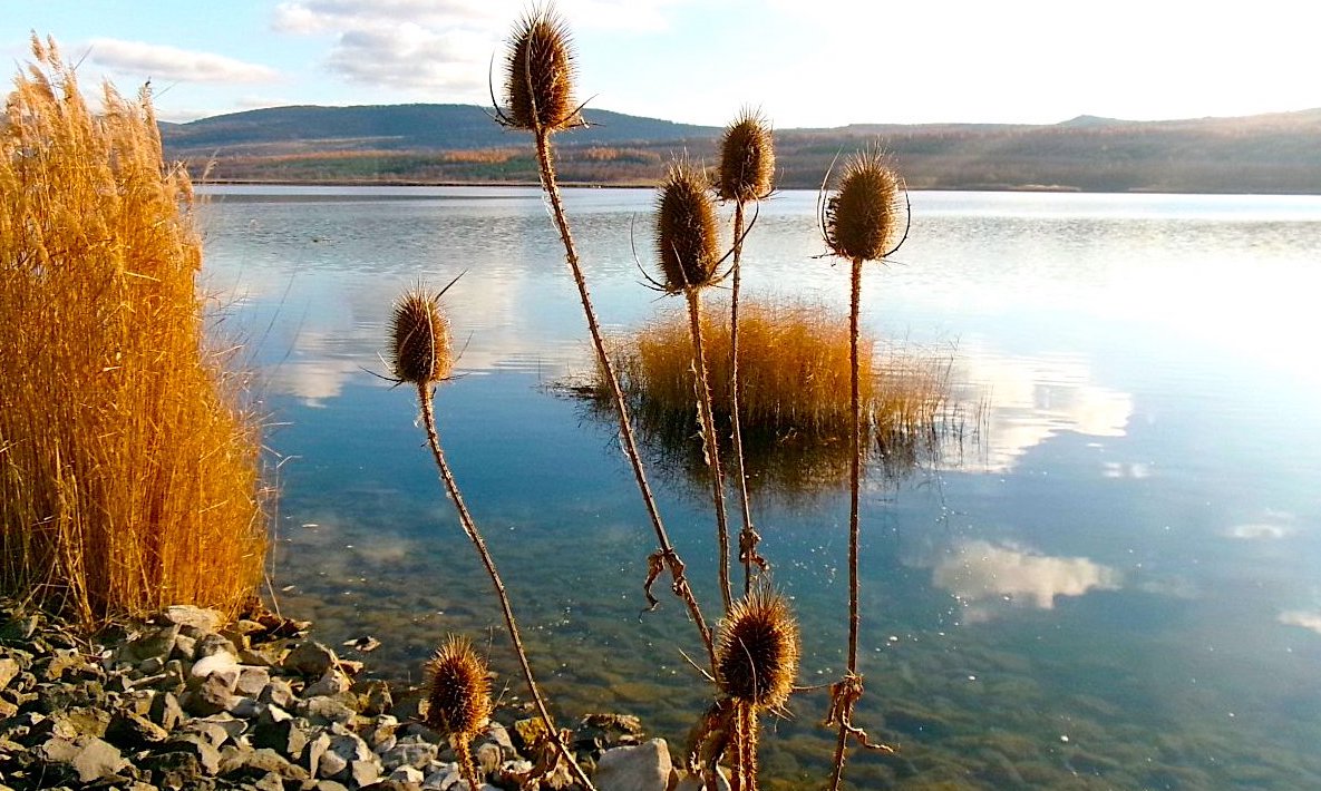 FOTO DNE 24.11.: Naděžda Špásová - Sobotní procházka