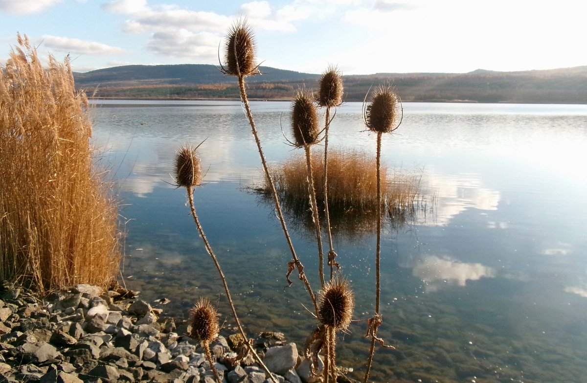 Sobotní procházka *