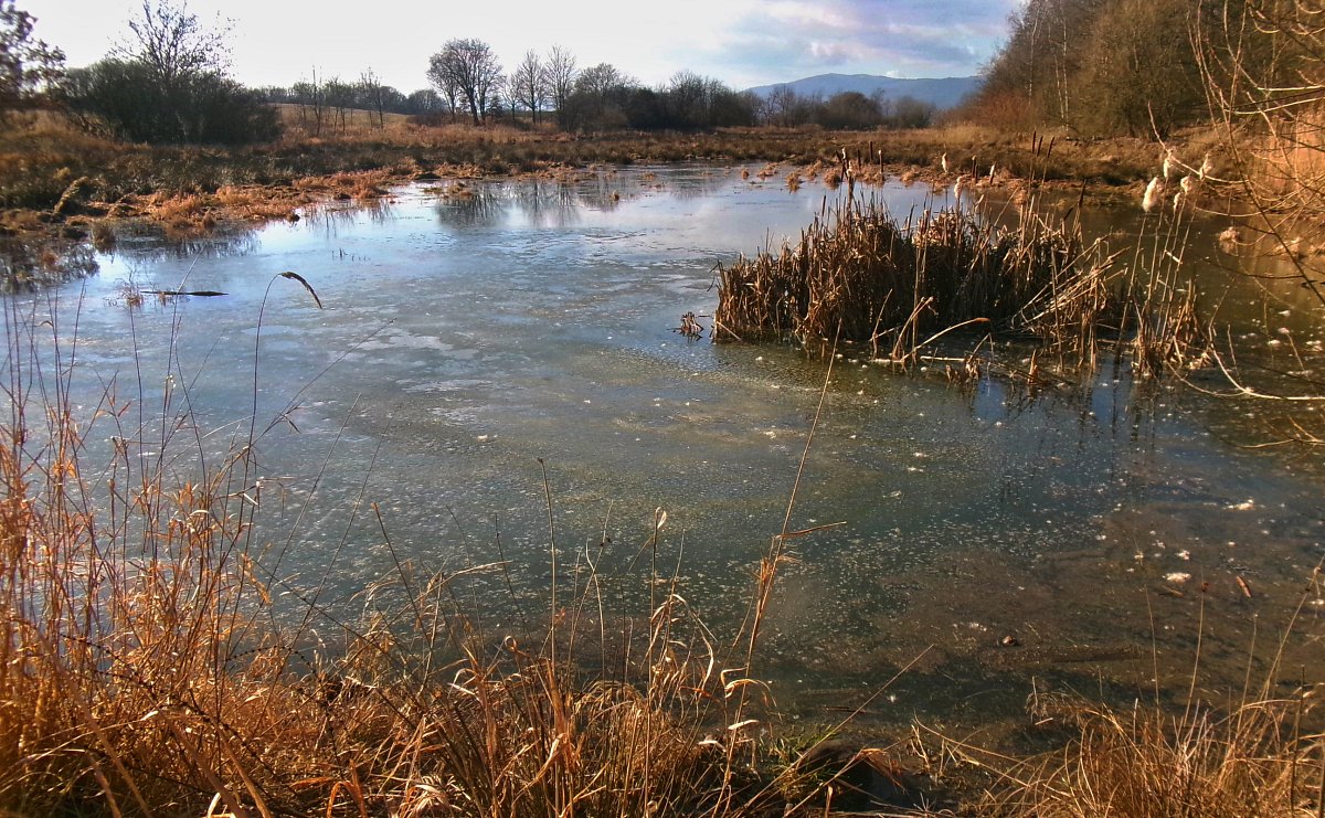Odpoledne v přírodě.