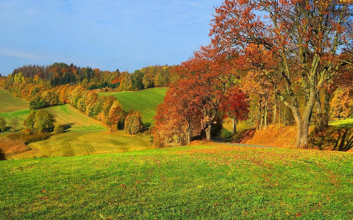 FOTO DNE 14.10.: Jaromír Šiša - Podzim