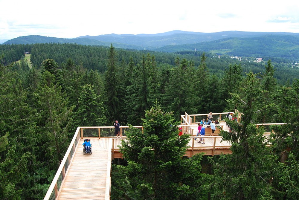 Stezka korunami stromů
čeká miliontého návštěvníka