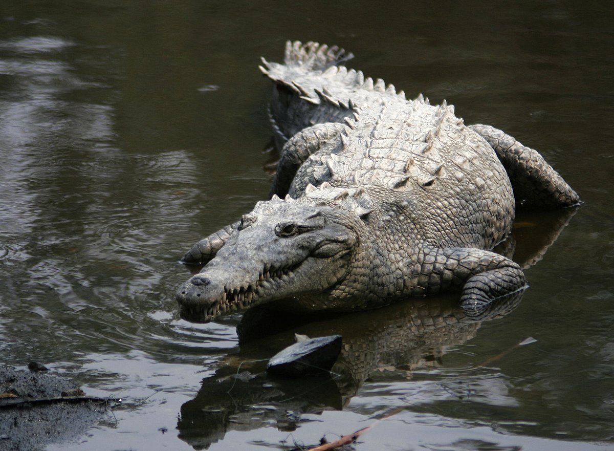 Třetí povídka Vánoční - O skle a vodě