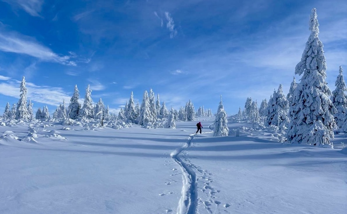 FOTO DNE 12.1.: Vanda Blaškovič - Cesta rájem, Jizerky