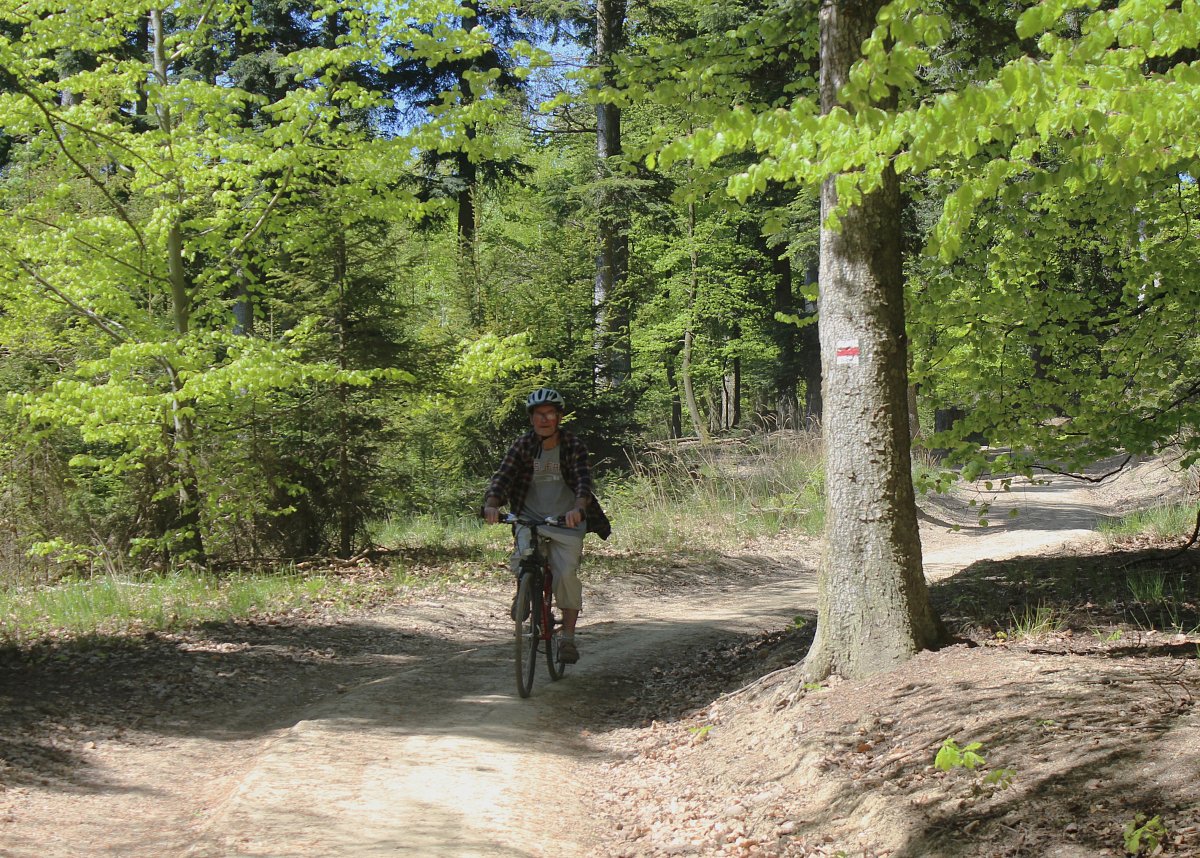Náš "cyklovýlet" do Brusného na Brusenku