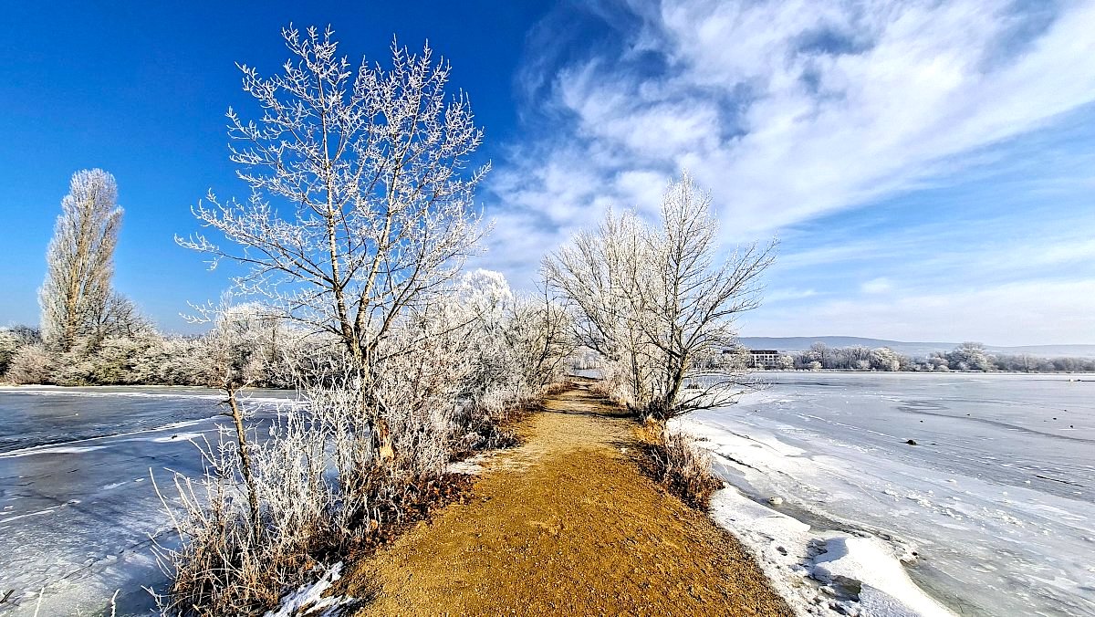 FOTO DNE 25.1.: Jana Levická - Zima v Piešťanech