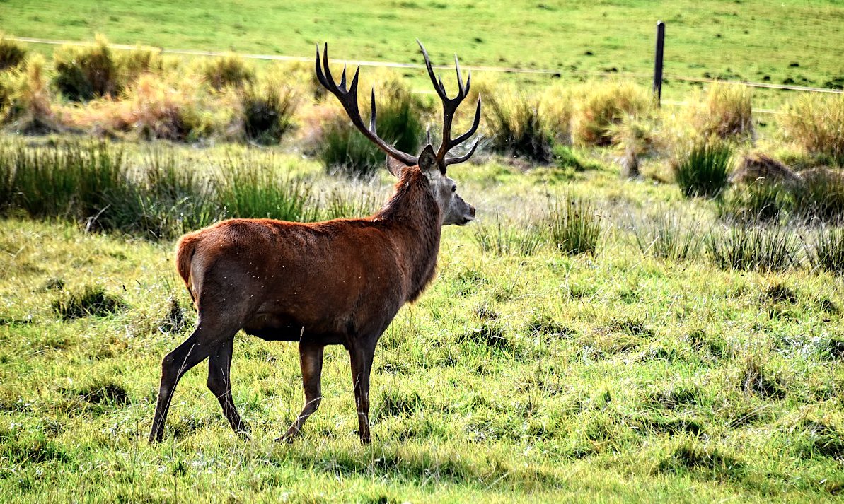 FOTO DNE 6.11.: Jiří Hudeček - Lesů pán