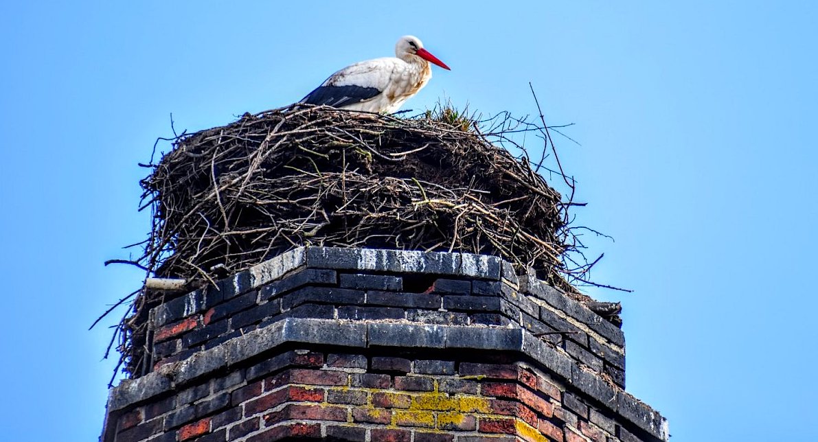 FOTO DNE 14.3.: Jiří Hudeček - Včera přiletěl