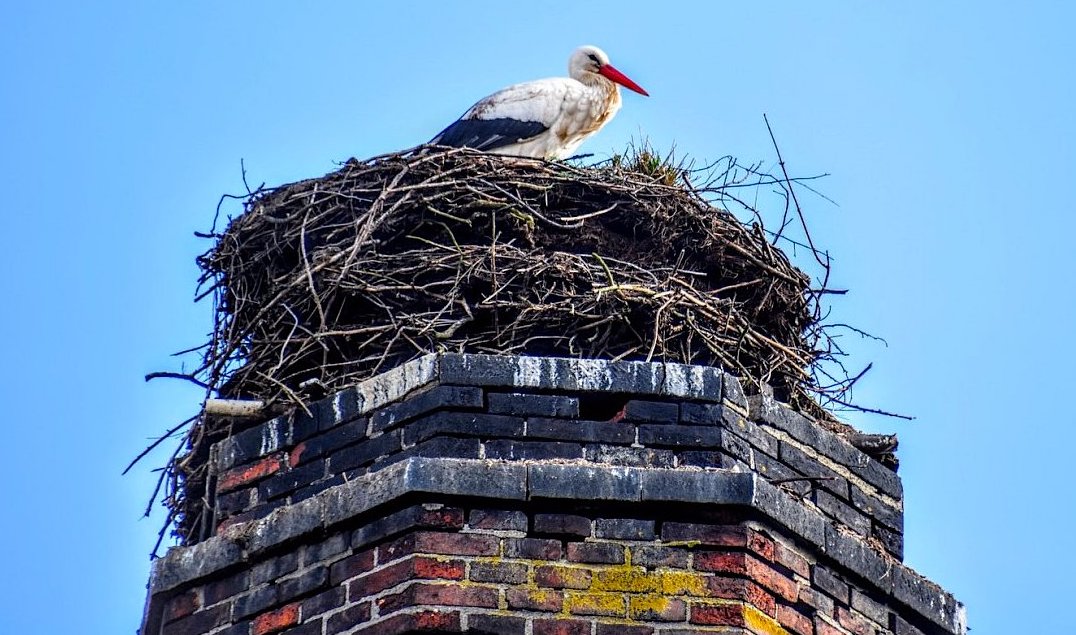 FOTO DNE 14.3.: Jiří Hudeček - Včera přiletěl