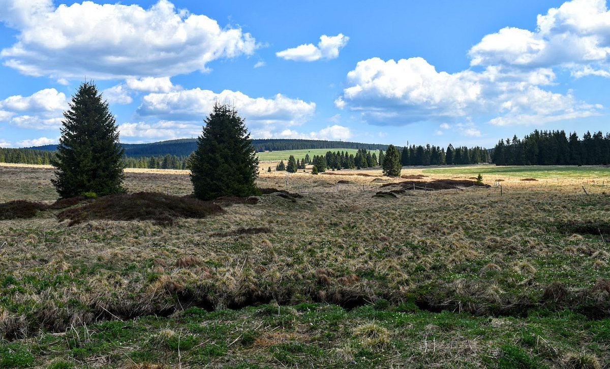 Drsná krajina.