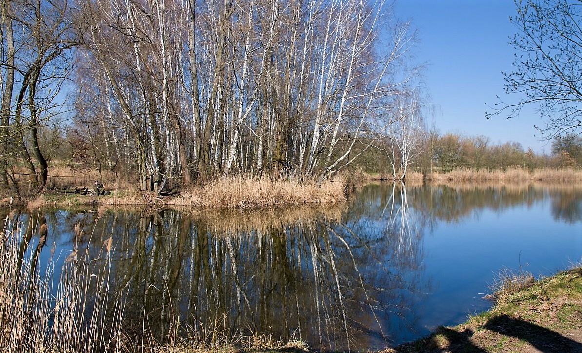 Lesy, rybníky, cyklostezky a realita