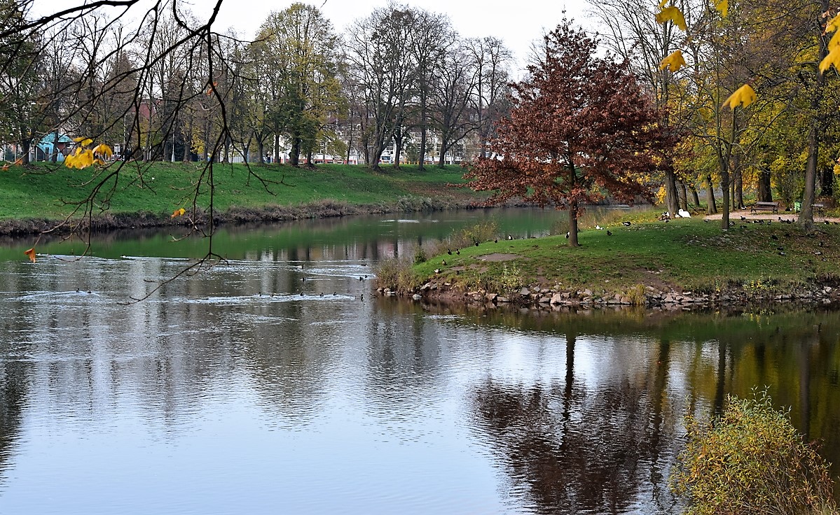 Barevný listopad