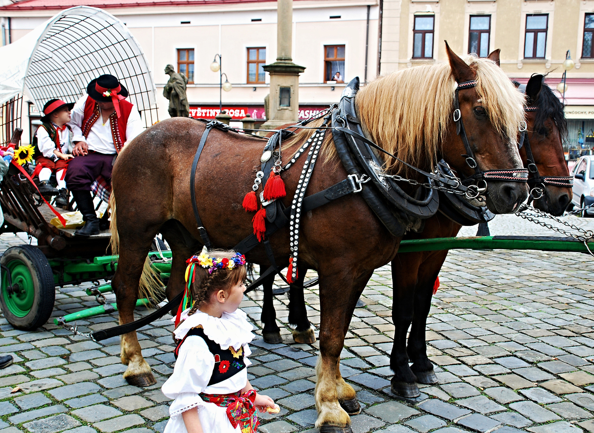 Dotaz malého muže