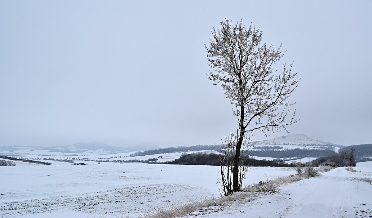 Zapadlí vlastenci